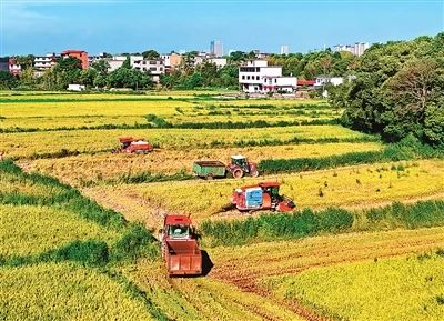 1756371129206352.jpg 1756371129206352.jpg