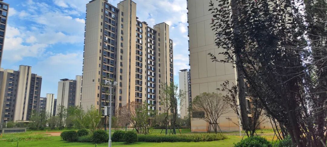 1761639180582797.jpg 1761639180582797.jpg