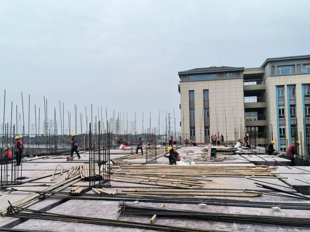 1770776045987027.jpg 1770776045987027.jpg