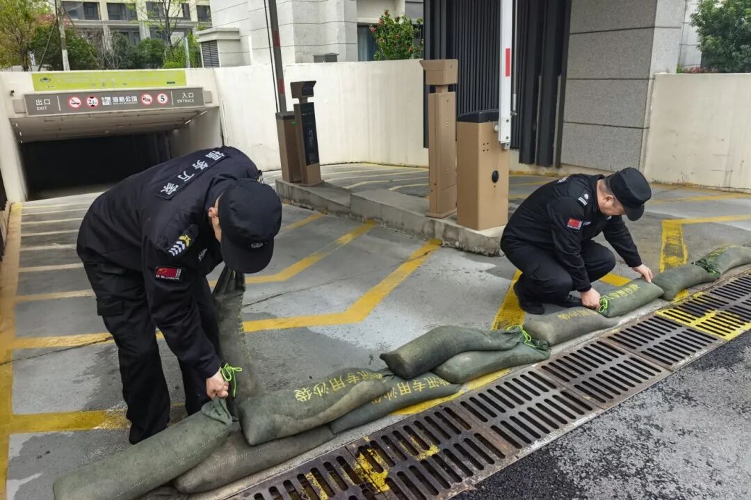 1775613799667647.jpg 1775613799667647.jpg